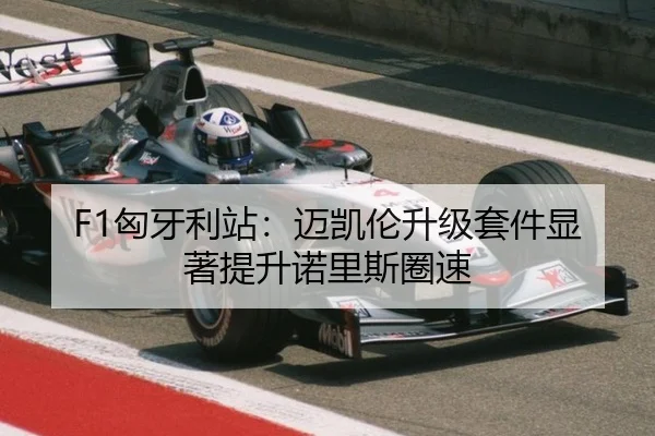 F1匈牙利站：迈凯伦升级套件显著提升诺里斯圈速