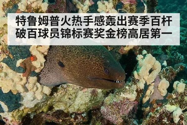特鲁姆普火热手感轰出赛季百杆破百球员锦标赛奖金榜高居第一